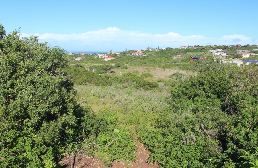 0 Bedroom Property for Sale in Forest Downs Eastern Cape